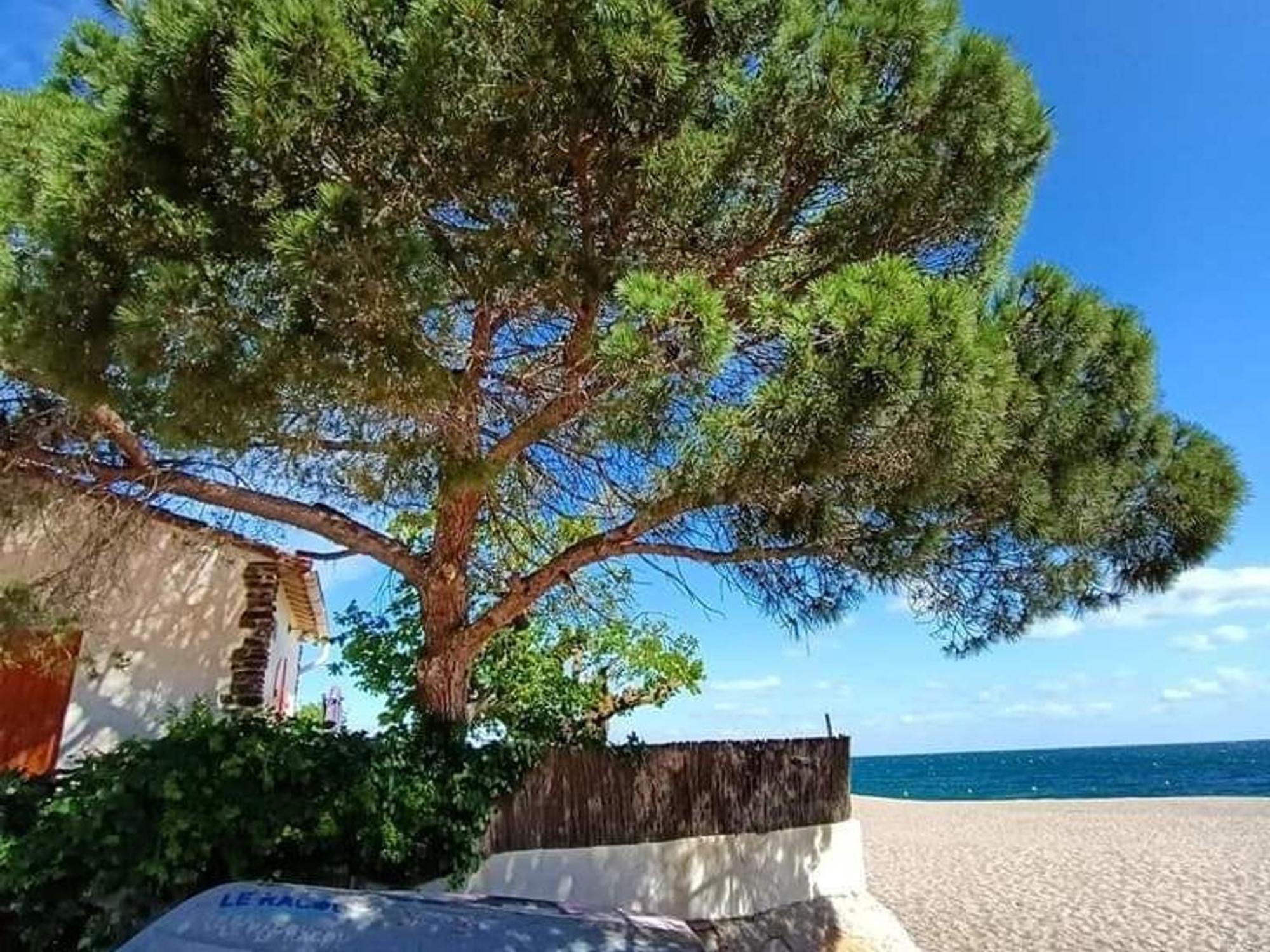 Pavillon 6 Pers A Argeles-Sur-Mer: Piscine, Clim, Parking, Wifi, Proche Plage - Fr-1-776-5 Argelès-sur-Mer Exterior foto